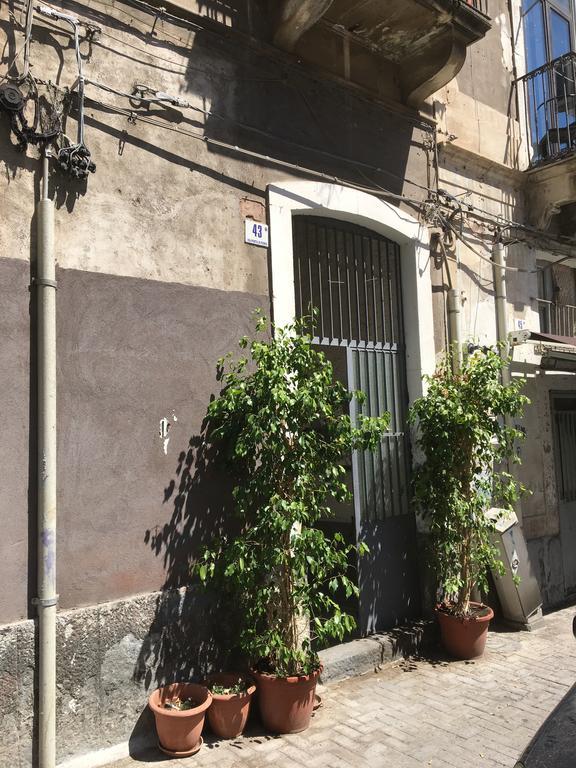 Casa Vacanza Civita Catania Centro Apartment Luaran gambar